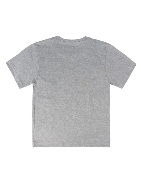 CAMISETA MANGA CORTA HARRY POTTER PREMIUM