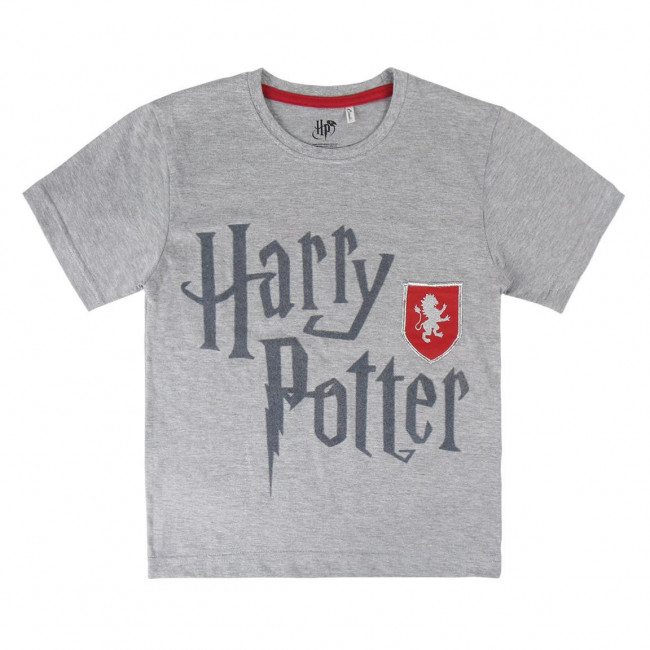 CAMISETA MANGA CORTA PREMIUM HARRY POTTER